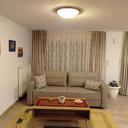 Ferienwohnung Trikala Alex House Exterior foto