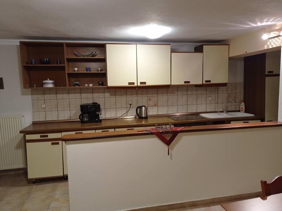 Ferienwohnung Trikala Alex House Exterior foto