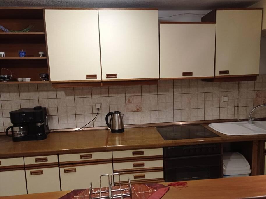 Ferienwohnung Trikala Alex House Exterior foto